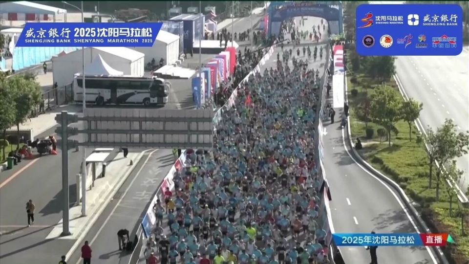 pZiCK, 松爱好者发 pZiCK, 松爱好者发