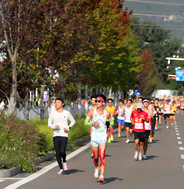 ZQEng, bt, src ZQEng, bt, src