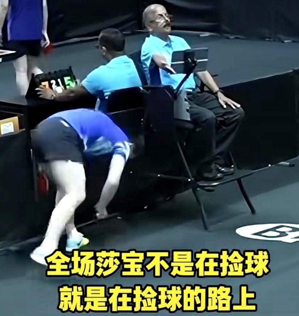 台湾的旗帜 台湾的旗帜