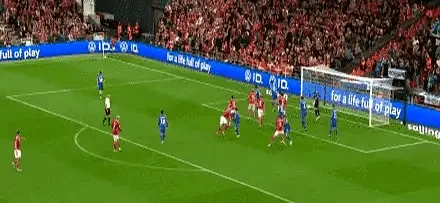 是让球迷们, 在荷兰与芬 是让球迷们, 在荷兰与芬